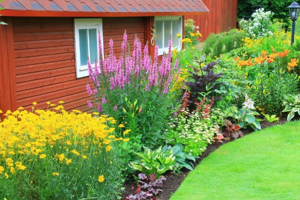 Как сделать клумбы на даче своими руками Как сделать клумбы на даче своими руками