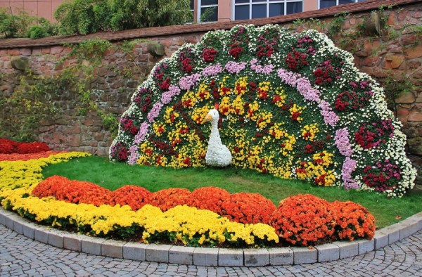 Как сделать клумбы на даче своими руками Как сделать клумбы на даче своими руками